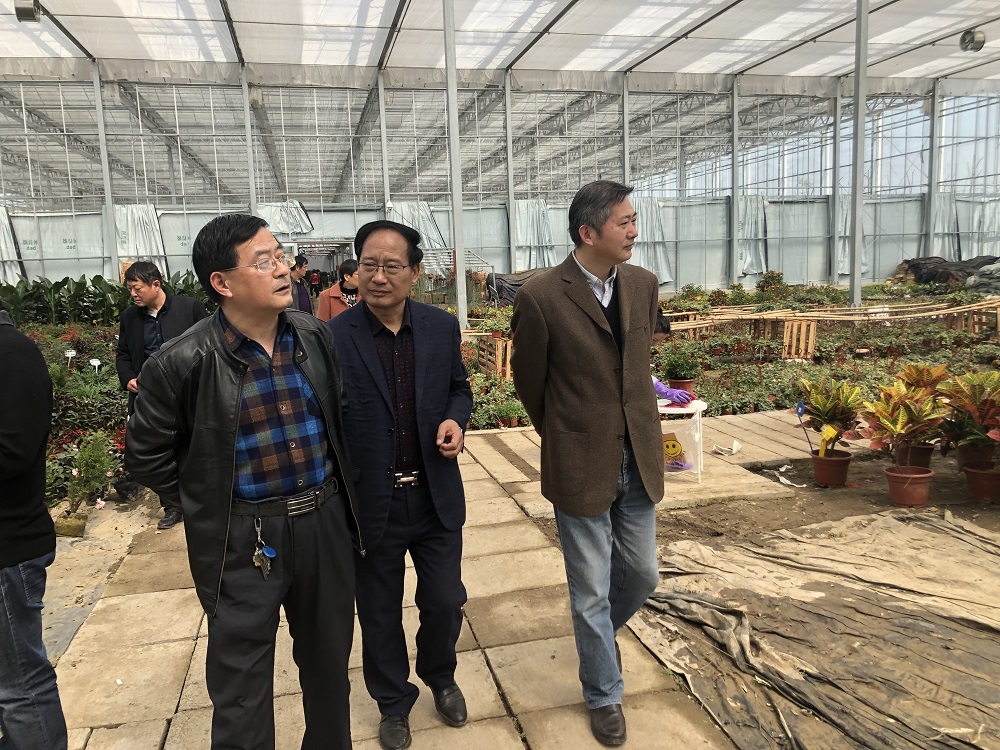 水墨大埝老总_水墨大埝